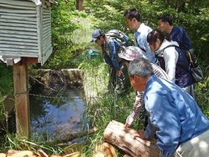 5月「自然体験活動」を開催しました!:詳細ページを見る