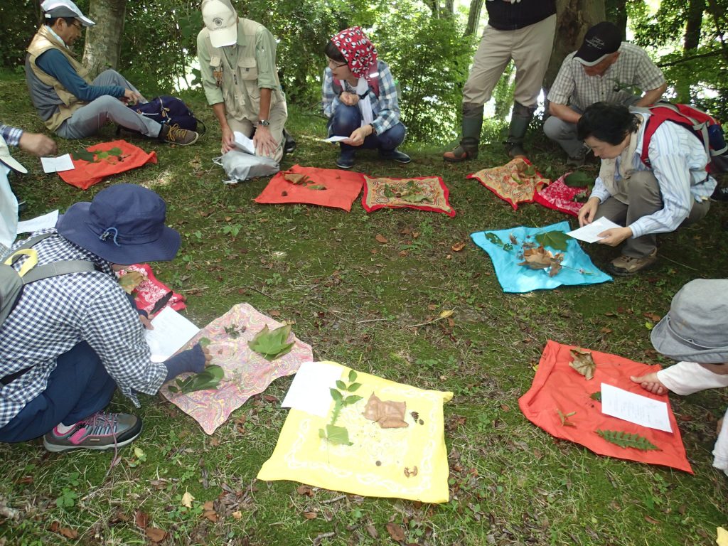 7月「ろうきん森の学校自然体験活動」を募集中♪:詳細ページを見る