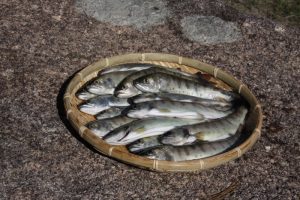4/23「森のカフェ・春編」を開催しました!:詳細ページを見る
