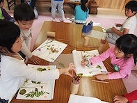 7/1「森の妖精くらぶ」を募集中♪:詳細ページを見る