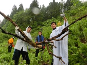 8/5定期山林整備隊「辻又の守人」を募集中♪:詳細ページを見る