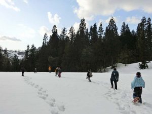 1/14「スキーとスノーシューテクニック」開催報告!:詳細ページを見る
