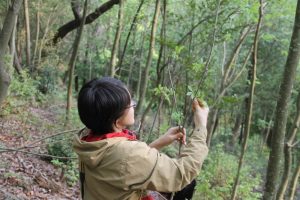 自然にふれる、木にふれる!『森工塾』を募集中(4月):詳細ページを見る