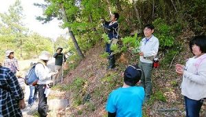 4/21「森の恵みを味わう/春・山菜編」開催報告!:詳細ページを見る