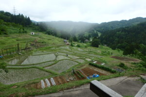 6月20日「~森と棚田の保全活動~ 棚田学校・一日体験」を募集中!:詳細ページを見る