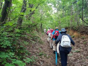 6月12日「中ノ俣古道ツアー 「春日山城への山越えを歩く」 （全3回コースの1回目）」を開催しました！：詳細ページを見る
