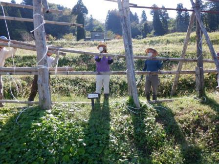10月「～森と棚田の保全活動～ 棚田学校・一日体験」を開催しました！：詳細ページを見る